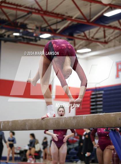 Thumbnail 3 in Patriot Gymnastics Meet photogallery.