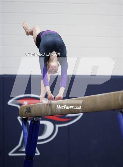 Thumbnail 2 in Patriot Gymnastics Meet photogallery.