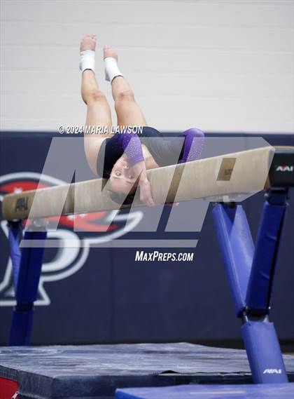 Thumbnail 3 in Patriot Gymnastics Meet photogallery.