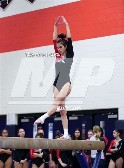 Thumbnail 2 in Patriot Gymnastics Meet photogallery.