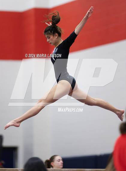 Thumbnail 2 in Patriot Gymnastics Meet photogallery.