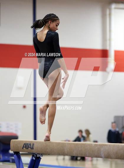 Thumbnail 3 in Patriot Gymnastics Meet photogallery.