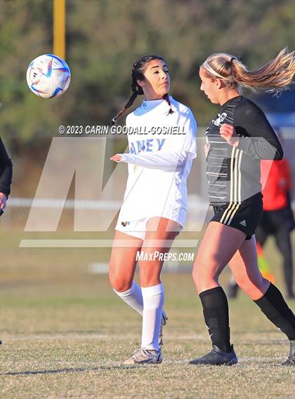 Thumbnail 1 in Laney @ Croatan photogallery.
