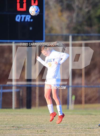 Thumbnail 3 in Laney @ Croatan photogallery.
