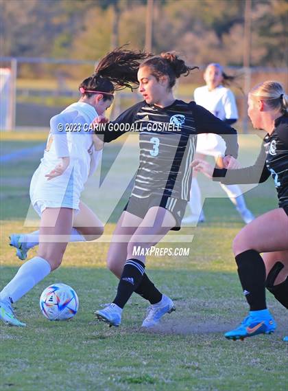 Thumbnail 2 in Laney @ Croatan photogallery.
