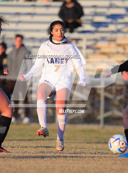 Thumbnail 1 in Laney @ Croatan photogallery.