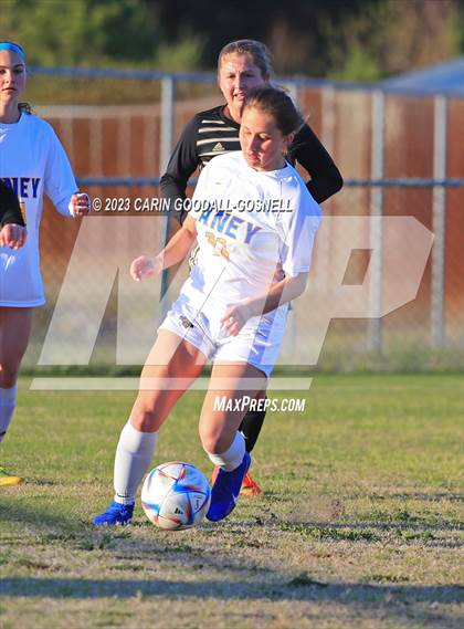 Thumbnail 1 in Laney @ Croatan photogallery.