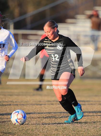 Thumbnail 2 in Laney @ Croatan photogallery.