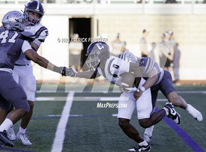 Thumbnail 1 in Clark @ Sotomayor photogallery.