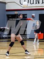 Photo from the gallery "Wiregrass Ranch @ Pasco"