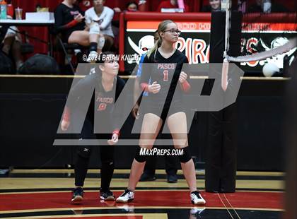 Thumbnail 1 in Wiregrass Ranch @ Pasco photogallery.