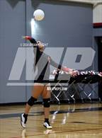 Photo from the gallery "Wiregrass Ranch @ Pasco"