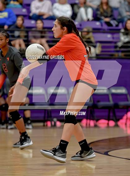 Thumbnail 2 in Texas @ Hallsville photogallery.