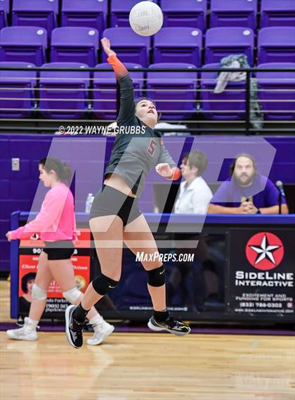 Thumbnail 2 in Texas @ Hallsville photogallery.