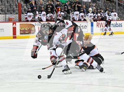Thumbnail 2 in Middletown North vs Northern Highlands (NJSIAA Public B State Final)  photogallery.