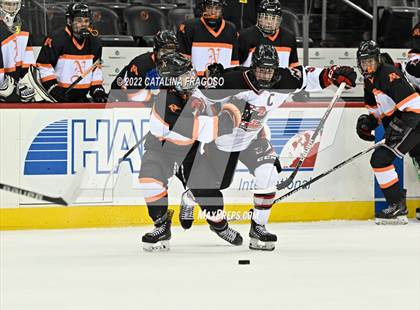 Thumbnail 3 in Middletown North vs Northern Highlands (NJSIAA Public B State Final)  photogallery.