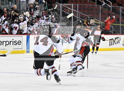 Thumbnail 1 in Middletown North vs Northern Highlands (NJSIAA Public B State Final)  photogallery.