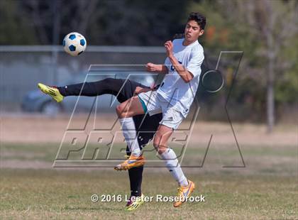 Thumbnail 3 in JV: Stevens @ O'Connor photogallery.