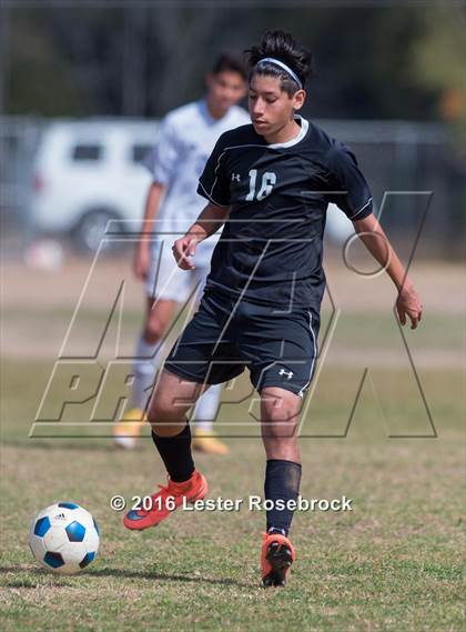 Thumbnail 2 in JV: Stevens @ O'Connor photogallery.