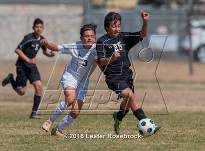 Thumbnail 2 in JV: Stevens @ O'Connor photogallery.