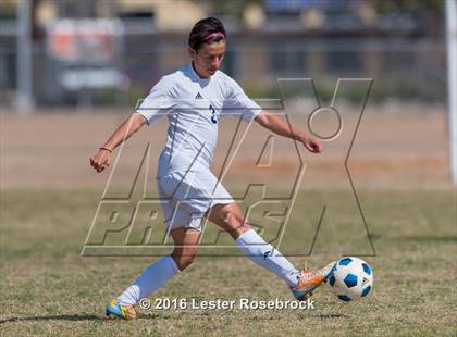 Thumbnail 3 in JV: Stevens @ O'Connor photogallery.