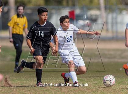 Thumbnail 3 in JV: Stevens @ O'Connor photogallery.
