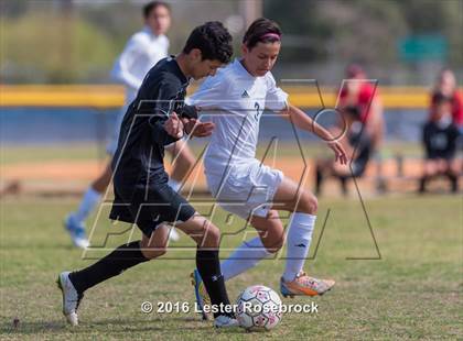 Thumbnail 2 in JV: Stevens @ O'Connor photogallery.