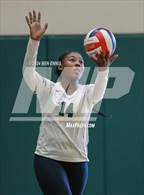 Photo from the gallery "Lovejoy vs. Langston Hughes"