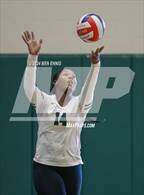Photo from the gallery "Lovejoy vs. Langston Hughes"