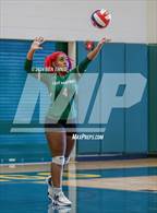 Photo from the gallery "Lovejoy vs. Langston Hughes"