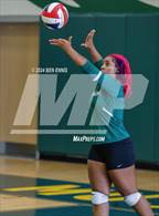 Photo from the gallery "Lovejoy vs. Langston Hughes"