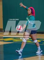 Photo from the gallery "Lovejoy vs. Langston Hughes"