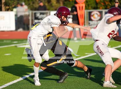 Thumbnail 3 in Whitney @ Del Oro photogallery.