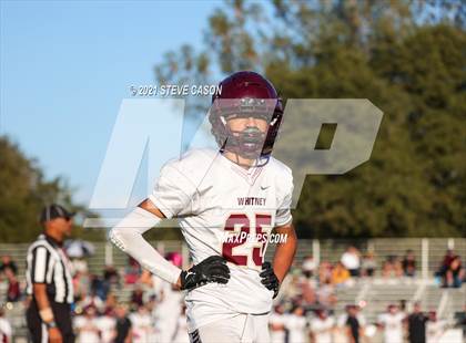 Thumbnail 3 in Whitney @ Del Oro photogallery.