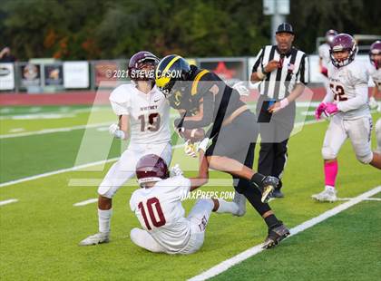 Thumbnail 1 in Whitney @ Del Oro photogallery.