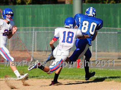 Thumbnail 1 in Coginchaug @ Lewis Mills photogallery.