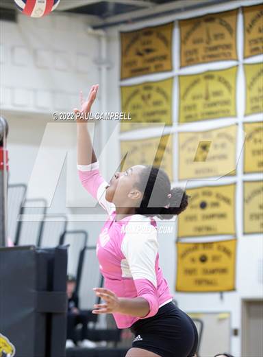 null - Photo 21