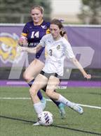 Photo from the gallery "Monticello vs. Williamsville (IHSA 1A Sectional Final)"