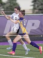 Photo from the gallery "Monticello vs. Williamsville (IHSA 1A Sectional Final)"