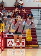 Photo from the gallery "Poudre @ Rocky Mountain"