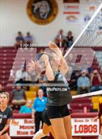 Photo from the gallery "Poudre @ Rocky Mountain"