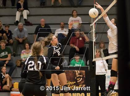 Thumbnail 3 in Starkville @ Hernando photogallery.
