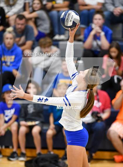 Thumbnail 2 in Brock @ Peaster photogallery.
