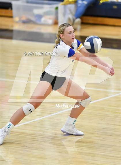 Thumbnail 2 in Brock @ Peaster photogallery.