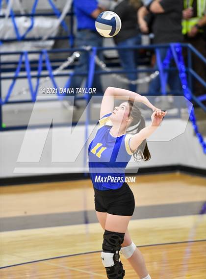 Thumbnail 3 in Brock @ Peaster photogallery.