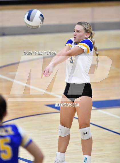 Thumbnail 3 in Brock @ Peaster photogallery.