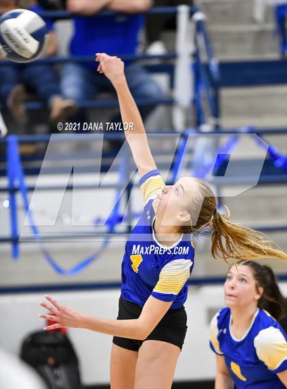 Thumbnail 3 in Brock @ Peaster photogallery.