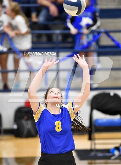 Thumbnail 2 in Brock @ Peaster photogallery.