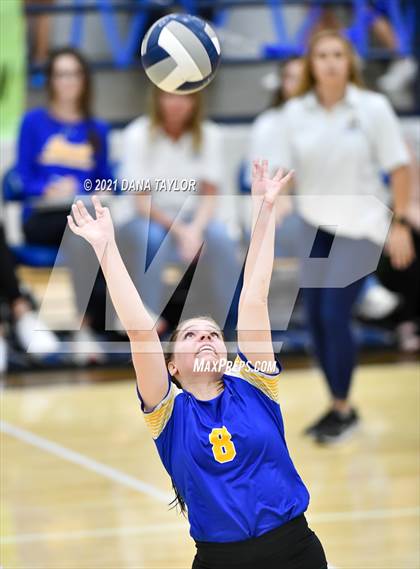 Thumbnail 1 in Brock @ Peaster photogallery.