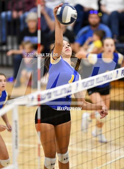 Thumbnail 1 in Brock @ Peaster photogallery.